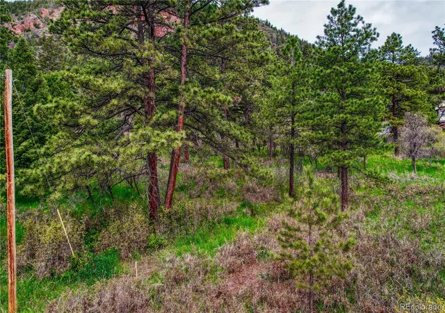 Homes for sale in Palmer Lake, CO | 000 Buena Vista Ave, Palmer Lake, CO 80133 | MLS# 5791566