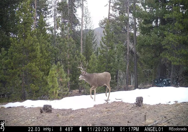 Photo 2 of Land for sale at 543 Crescent Lake Rd, Golden, CO 80403 | MLS# 3921848 | Listing updated on 2026-10-28