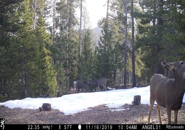 Photo 3 of Land for sale at 543 Crescent Lake Rd, Golden, CO 80403 | MLS# 3921848 | Listing updated on 2026-10-28