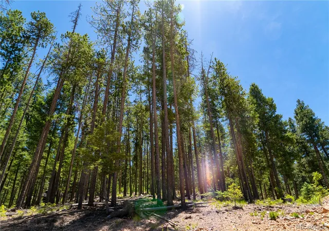 2nd image of 6814 Lynx Lair Rd, Evergreen, CO 80439 | MLS# 9567184