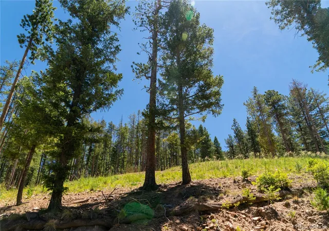 Photo 3 of Land for sale at 6814 Lynx Lair Rd, Evergreen, CO 80439 | MLS# 9567184 | Listing updated on 2026-06-21