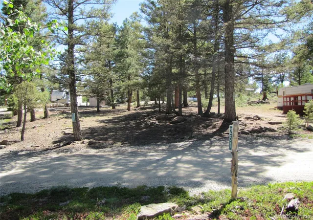 Homes for sale in Hartsel, CO | 251 Pullman Loop, Hartsel, CO 80449 | MLS# 8472113