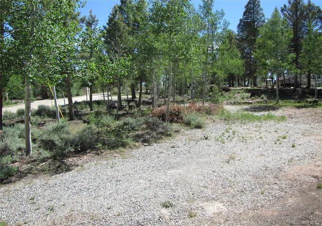 Homes for sale in Hartsel, CO | 1524 Narrow Gauge Rd, Hartsel, CO 80449 | MLS# 9448033