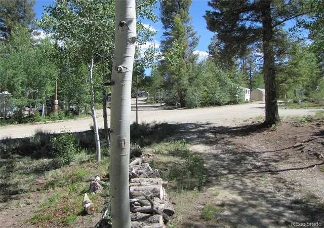Homes for sale in Hartsel, CO | 1524 Narrow Gauge Rd, Hartsel, CO 80449 | MLS# 9448033