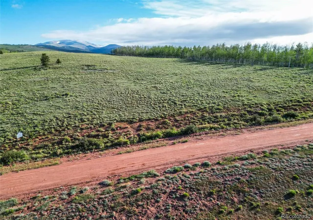 Homes for sale in Fairplay, CO | Tbd Canthook Lane, Fairplay, CO 80440 | MLS# 6575922