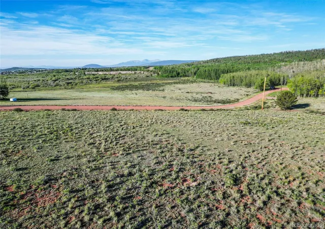 Homes for sale in Fairplay, CO | Tbd Canthook Lane, Fairplay, CO 80440 | MLS# 6575922