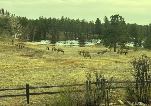 3rd image of 146 Toms Ranch Rd, Lake George, CO 80827 | MLS# 1885520