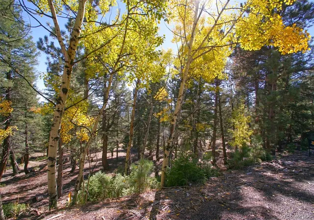 Homes for sale in Conifer, CO | 30402 Kings Vly E, Conifer, CO 80433 | MLS# 8259224