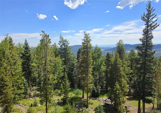 Homes for sale in Conifer, CO | 31547 Conifer Mountain Dr, Conifer, CO 80433 | MLS# 6354321