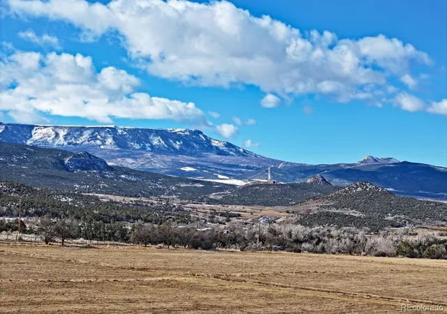 17th image of 12482 54 7/10 Rd, Molina, CO 81646 | MLS# 3148499