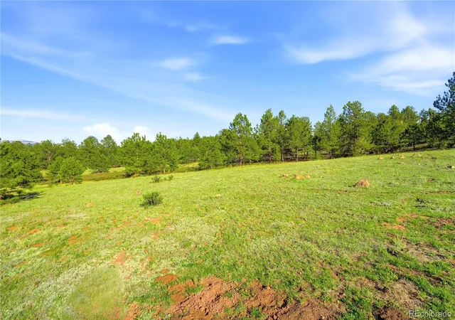 1st image of Doe Valley Rd, Guffey, CO 80820 | MLS# 5653106