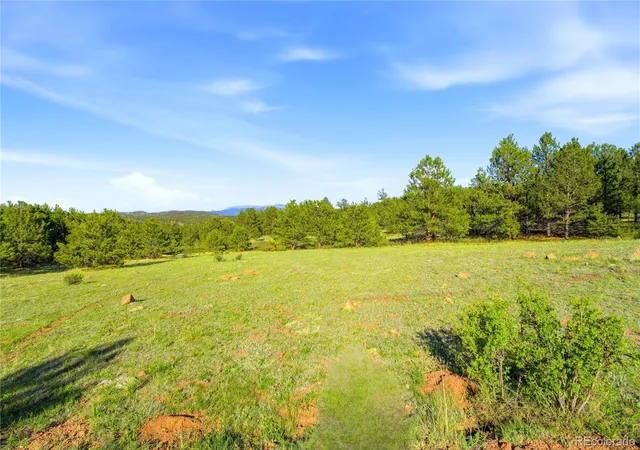 2nd image of Doe Valley Rd, Guffey, CO 80820 | MLS# 5653106