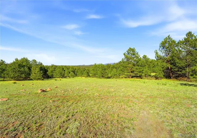 3rd image of Doe Valley Rd, Guffey, CO 80820 | MLS# 5653106