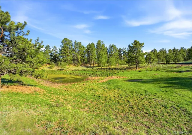 4th image of Doe Valley Rd, Guffey, CO 80820 | MLS# 5653106