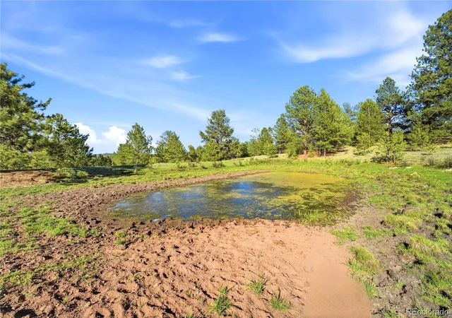 5th image of Doe Valley Rd, Guffey, CO 80820 | MLS# 5653106