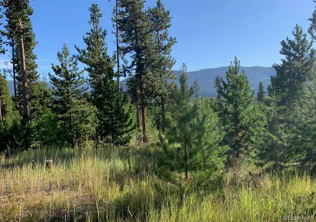 Homes for sale in Grand Lake, CO | 242 Gcr 4571, Grand Lake, CO 80447 | MLS# 4962552