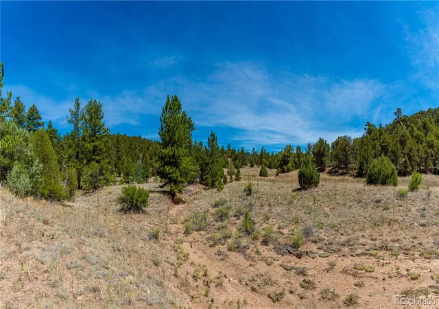 3rd image of Tbd L Arnold Dr, Cotopaxi, CO 81223 | MLS# 2756582