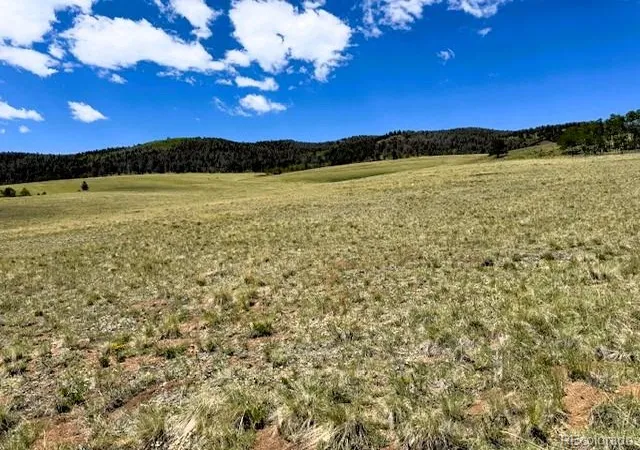 Photo 1 of Land for sale at 25 Sulky Ct, Hartsel, CO 80449 | MLS# 9577162 | Listing updated on 2026-06-20