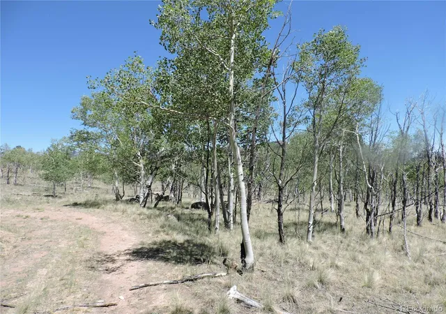 Photo 32 of Single family home for sale at 534 Concord Dr, Jefferson, CO 80456 | MLS# 5833351 | Listing updated on 2026-08-15