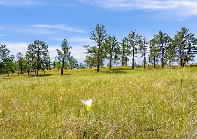 Homes for sale in Calhan, CO | Parcel B County Road 77, Calhan, CO 80808 | MLS# 6643051