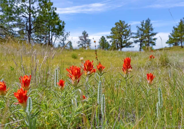 Homes for sale in Calhan, CO | Parcel B County Road 77, Calhan, CO 80808 | MLS# 6643051
