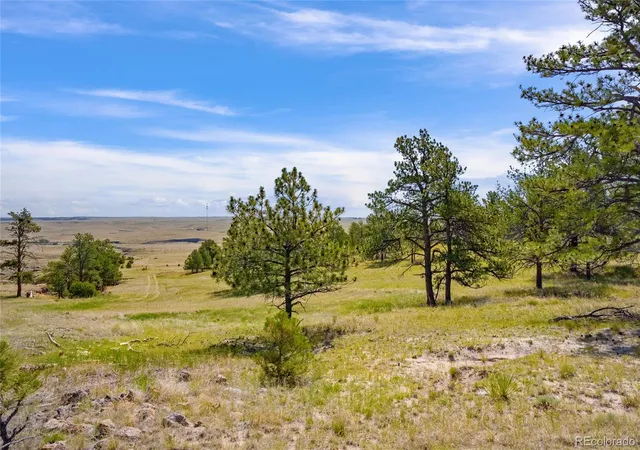 Homes for sale in Calhan, CO | Parcel B County Road 77, Calhan, CO 80808 | MLS# 6643051