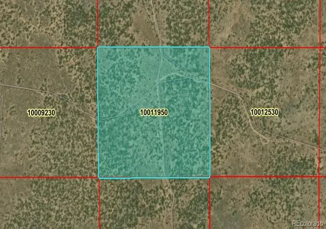 Homes for sale in San Luis, CO | 40 Acres N Canyon Dr, San Luis, CO 81152 | MLS# 7355654