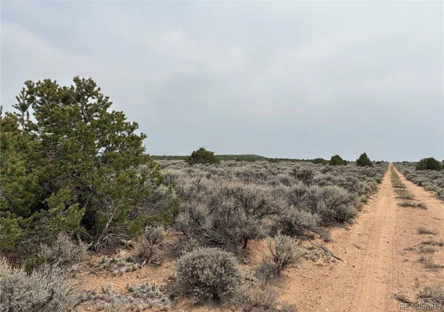 Homes for sale in San Luis, CO | 20 Ac Road X, San Luis, CO 81152 | MLS# 8634323