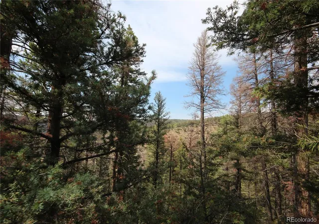 Homes for sale in San Luis, CO | Lot 6401 Ryland Rd, San Luis, CO 81152 | MLS# 2780189