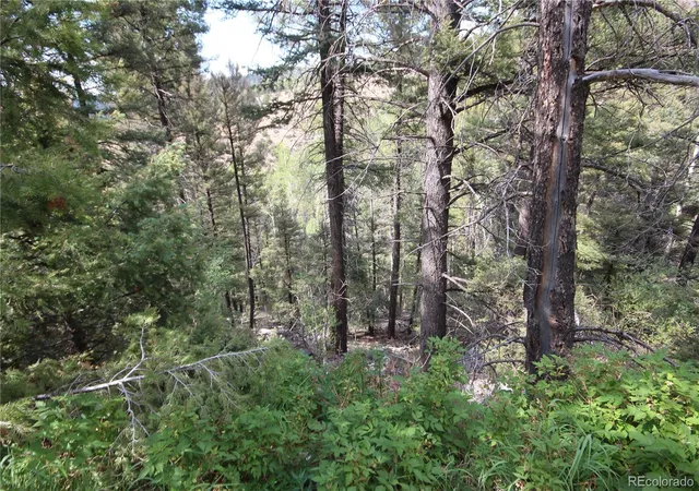 Homes for sale in San Luis, CO | Lot 6401 Ryland Rd, San Luis, CO 81152 | MLS# 2780189