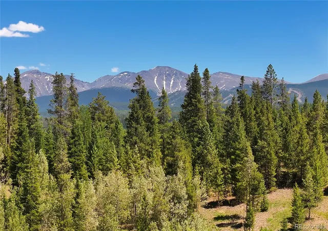 50th image of 11 Gcr 5001, Fraser, CO 80442 | MLS# 4282864