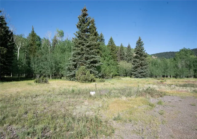 Homes for sale in Antonito, CO | 42 W Peregrine, Antonito, CO 81120 | MLS# 9119400