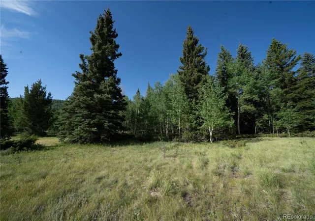 Homes for sale in Antonito, CO | 42 W Peregrine, Antonito, CO 81120 | MLS# 9119400