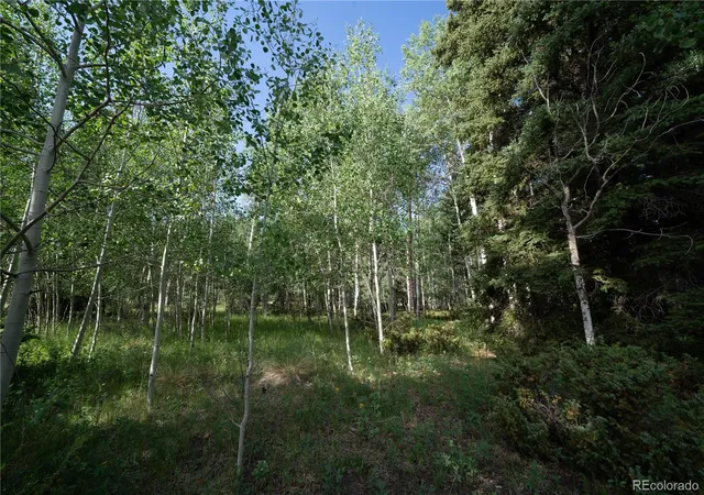 Homes for sale in Antonito, CO | 42 W Peregrine, Antonito, CO 81120 | MLS# 9119400
