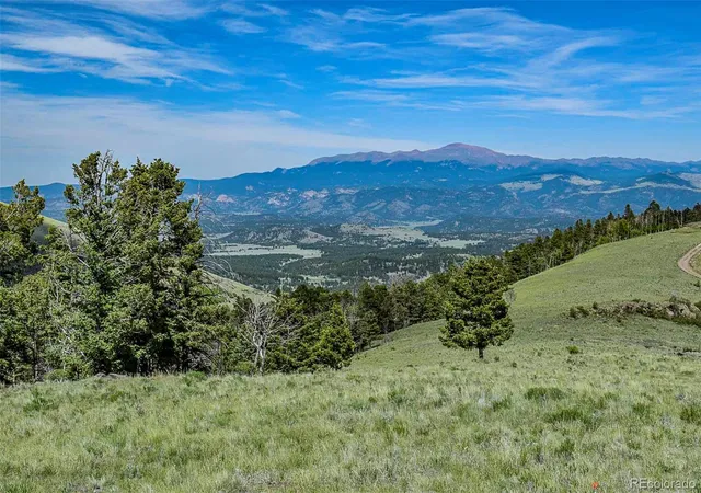 1st image of 000 Bear Cat Rd, Guffey, CO 80820 | MLS# 3908370