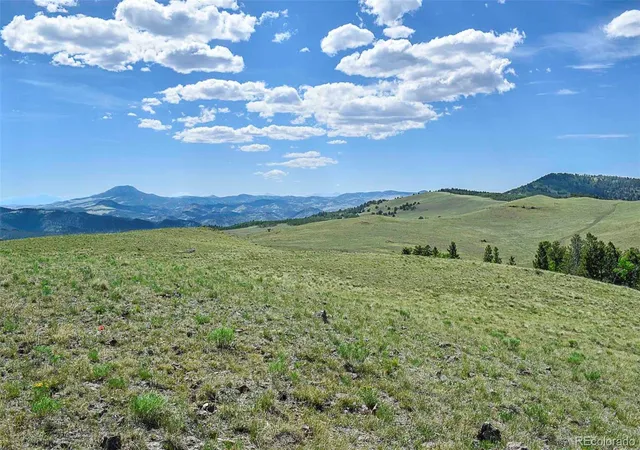 2nd image of 000 Bear Cat Rd, Guffey, CO 80820 | MLS# 3908370