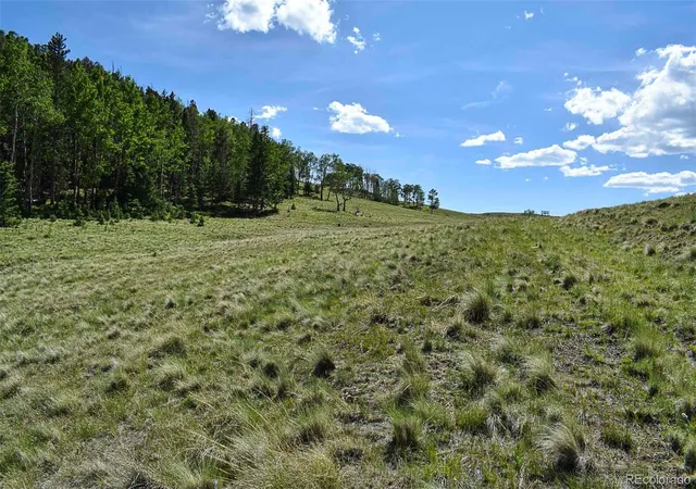3rd image of 000 Bear Cat Rd, Guffey, CO 80820 | MLS# 3908370