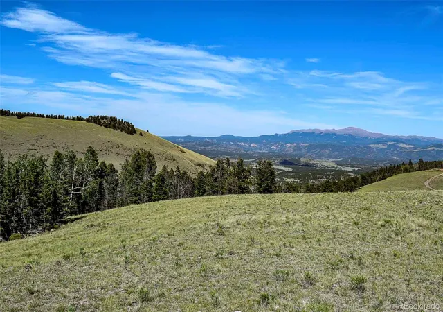 4th image of 000 Bear Cat Rd, Guffey, CO 80820 | MLS# 3908370
