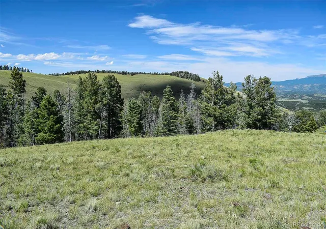 5th image of 000 Bear Cat Rd, Guffey, CO 80820 | MLS# 3908370