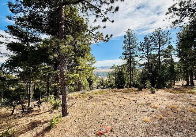 Homes for sale in Larkspur, CO | 13948 Boulder Ln, Larkspur, CO 80118 | MLS# 3887433