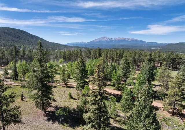 3rd image of 303 Ute Trl, Woodland Park, CO 80863 | MLS# 9924559