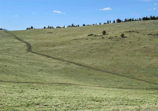 2nd image of 00 Bear Cat Rd, Guffey, CO 80820 | MLS# 9022962