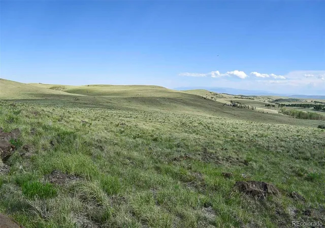 4th image of 00 Bear Cat Rd, Guffey, CO 80820 | MLS# 9022962