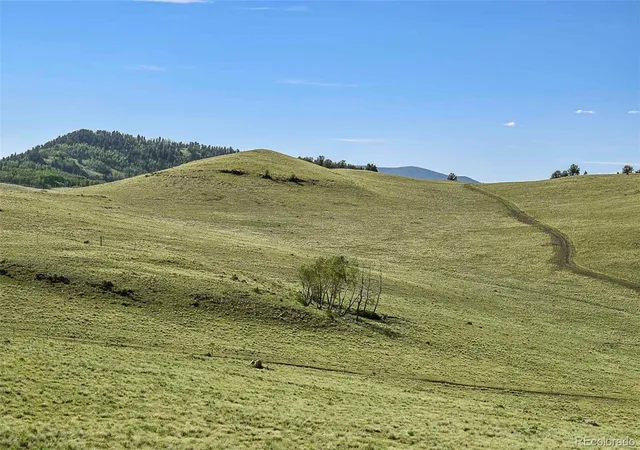 48th image of 00 Bear Cat Rd, Guffey, CO 80820 | MLS# 9022962