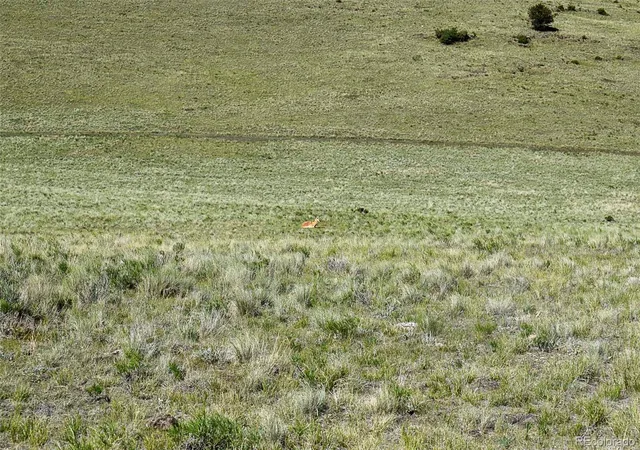 5th image of 00 Bear Cat Rd, Guffey, CO 80820 | MLS# 9022962
