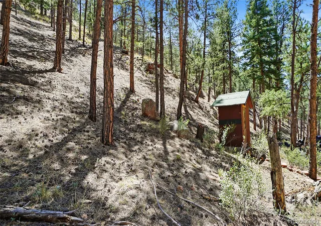 Homes for sale in Sedalia, CO | 25776 County Road 126, Sedalia, CO 80135 | MLS# 3806764