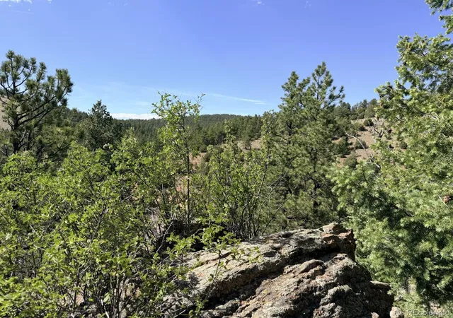 3rd image of 000 Schulze Ranch Rd, Westcliffe, CO 81252 | MLS# 9458365