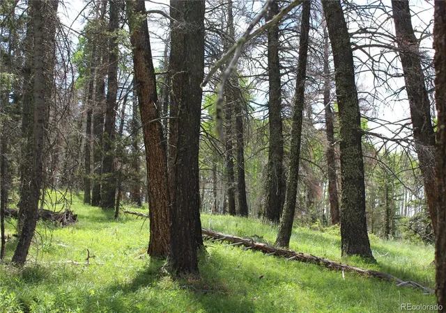 Photo 1 of Land for sale at 1650 Spruce Rd, Cimarron, CO 81220 | MLS# 6832509 | Listing updated on 2026-06-22