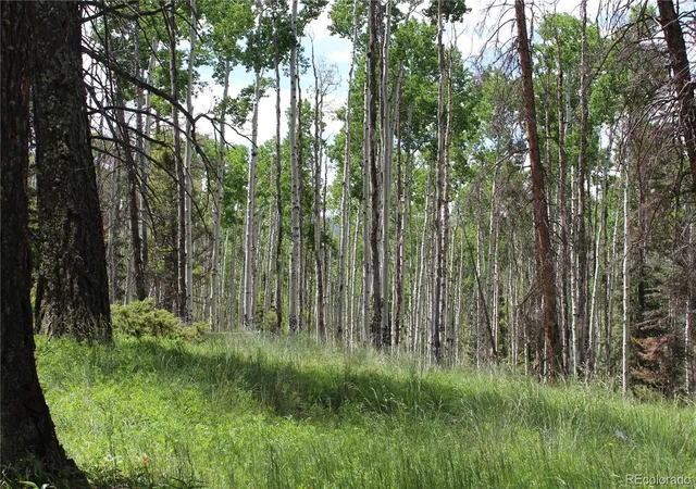 Photo 2 of Land for sale at 1650 Spruce Rd, Cimarron, CO 81220 | MLS# 6832509 | Listing updated on 2026-06-22