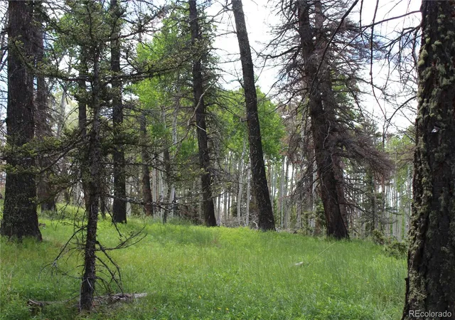 Photo 3 of Land for sale at 1650 Spruce Rd, Cimarron, CO 81220 | MLS# 6832509 | Listing updated on 2026-06-22